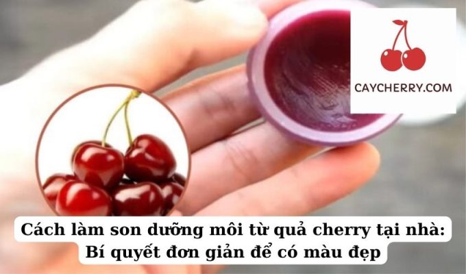 Cách làm son dưỡng môi từ quả cherry tại nhà Bí quyết đơn giản để có màu đẹp