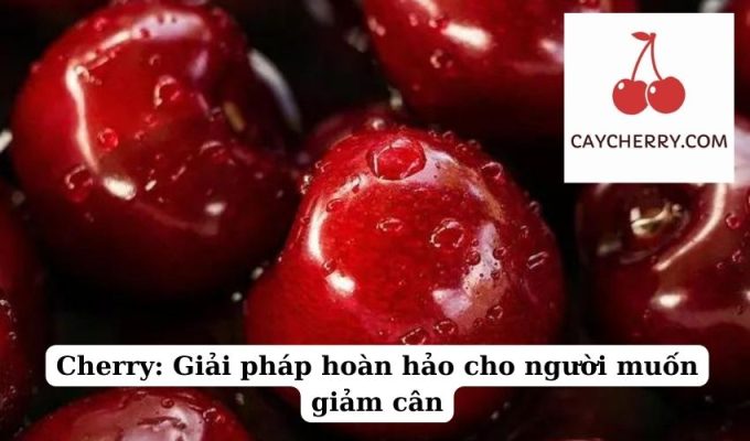 Cherry Giải pháp hoàn hảo cho người muốn giảm cân