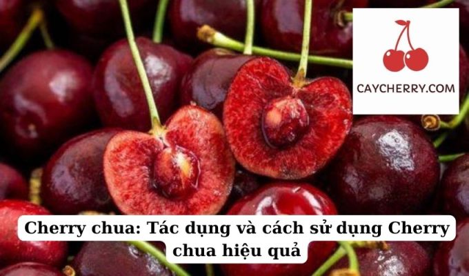 Cherry chua Tác dụng và cách sử dụng Cherry chua hiệu quả