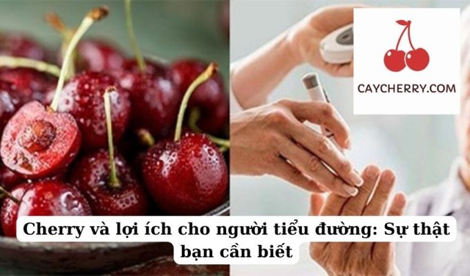 Cherry và lợi ích cho người tiểu đường Sự thật bạn cần biết