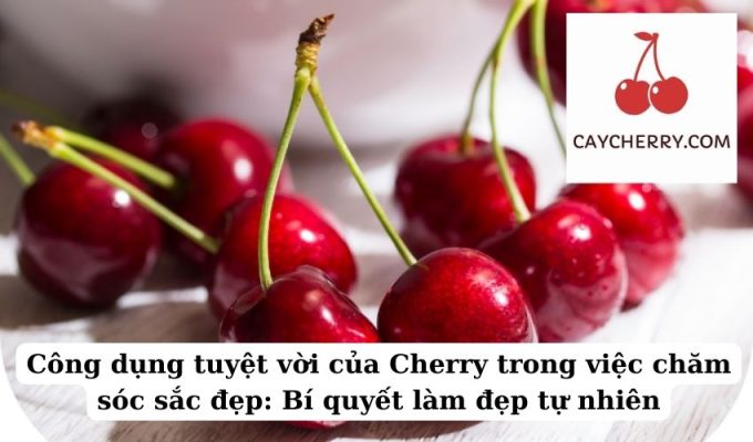 Công dụng tuyệt vời của Cherry trong việc chăm sóc sắc đẹp Bí quyết làm đẹp tự nhiên