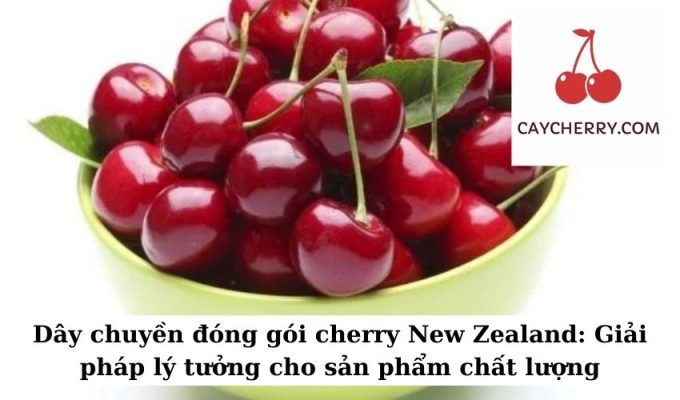 Dây chuyền đóng gói cherry New Zealand Giải pháp lý tưởng cho sản phẩm chất lượng