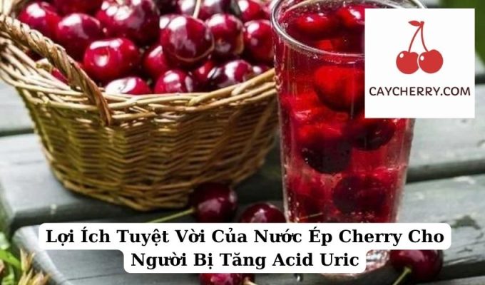 Lợi Ích Tuyệt Vời Của Nước Ép Cherry Cho Người Bị Tăng Acid Uric