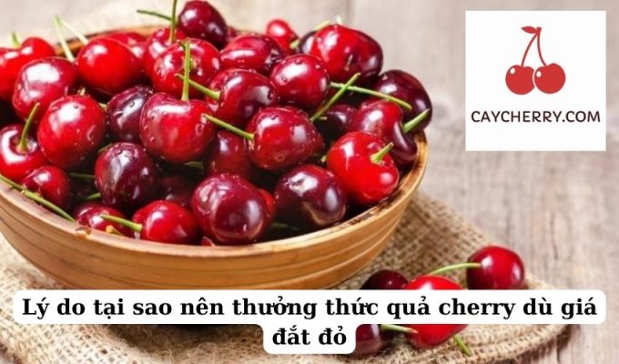 Lý do tại sao nên thưởng thức quả cherry dù giá đắt đỏ