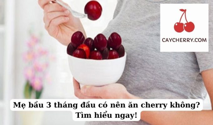 Mẹ bầu 3 tháng đầu có nên ăn cherry không Tìm hiểu ngay!