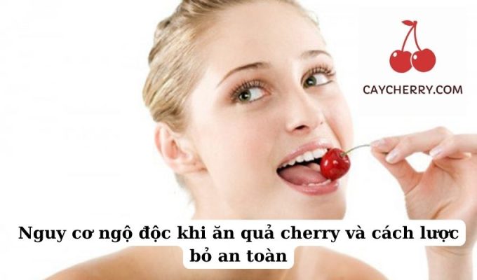 Nguy cơ ngộ độc khi ăn quả cherry và cách lược bỏ an toàn