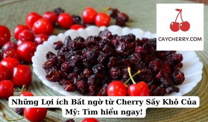 Những Lợi ích Bất ngờ từ Cherry Sấy Khô Của Mỹ Tìm hiểu ngay!